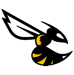 Betaflight